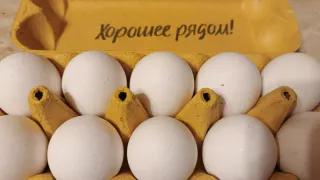 Никогда не покупайте яйца категории СО: почему работники птицефабрик избегают их — запомните раз и навсегда