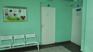 Оспа обезьян подтвердилась у пациента центральной городской больницы в Домодедово