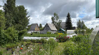 Как я спасаю огород в сезон дождей и после ливней: простые способы отвода воды и защиты урожая