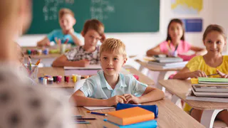 Совет Федерации запретил изымать у многодетных единственные автомобили и землю за долги