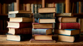 Министерство просвещения планирует сделать второй иностранный язык обязательным в школах с 1 сентября 2027 года
