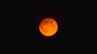 Лунный календарь на май 2026: когда выходить в огород с семенами