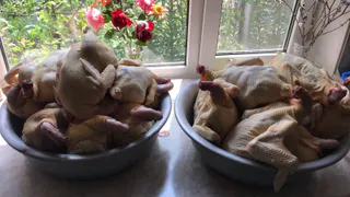 Как отличить мясо от воды в магазинной курице: Роскачество предупредило о 3 главных опасностях - вот на что смотреть