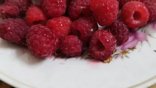 Дачники, лью не просто воду, а "сладкое" удобрение - и в июле малину взрывает крупными и сладкими ягодами