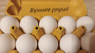Почему работники птицефабрик обходят стороной яйца С0: принципы верной покупки