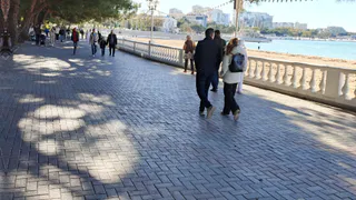 Весна ворвется быстро и без стука: названы регионы, где ее можно уже ждать