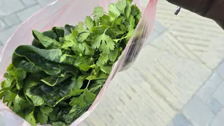 Нужно ли мыть укроп и петрушку? Запомните раз и навсегда