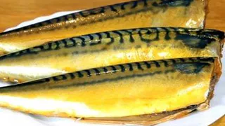 Лучший рецепт скумбрии холодного копчения в домашних условиях