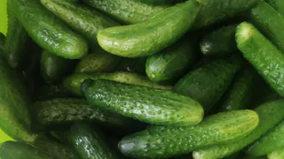 В минсельхозе зафиксировали падение оптовых цен на огурцы и томаты